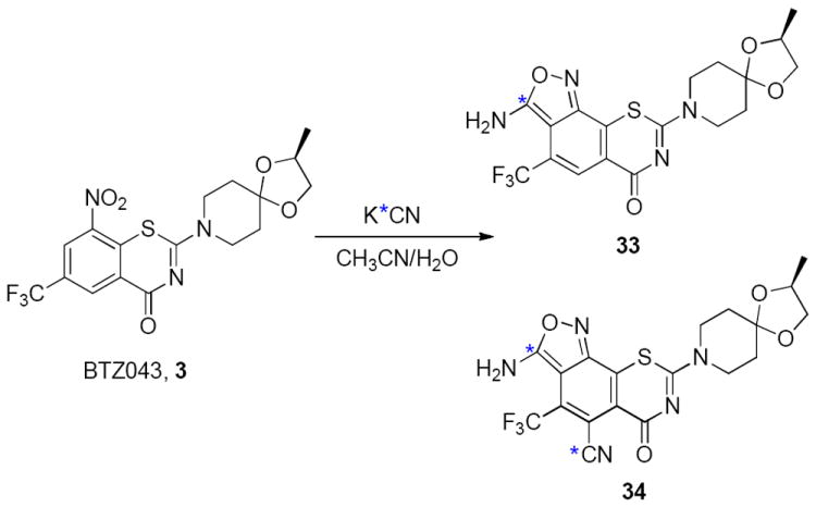 Scheme 8