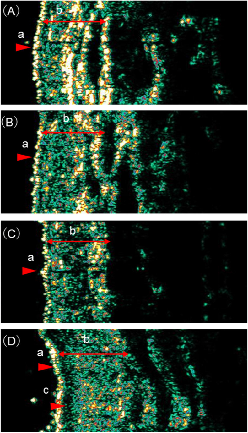 Fig. 4