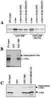 FIG. 9.