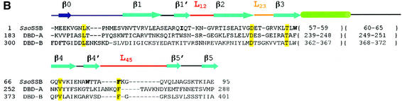 graphic file with name cdg272f1b.jpg