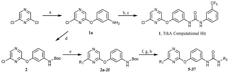 Scheme 1