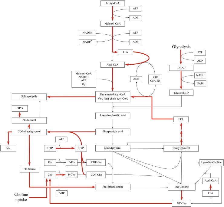 Fig. 2