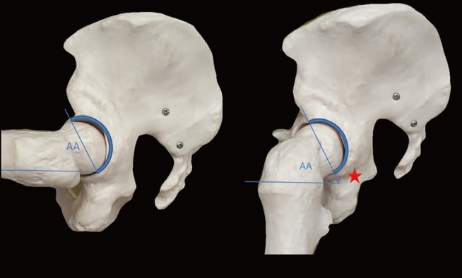 Fig. 5