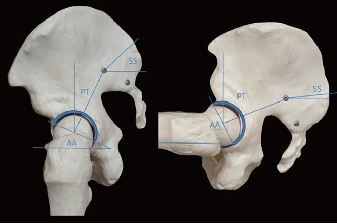 Fig. 3