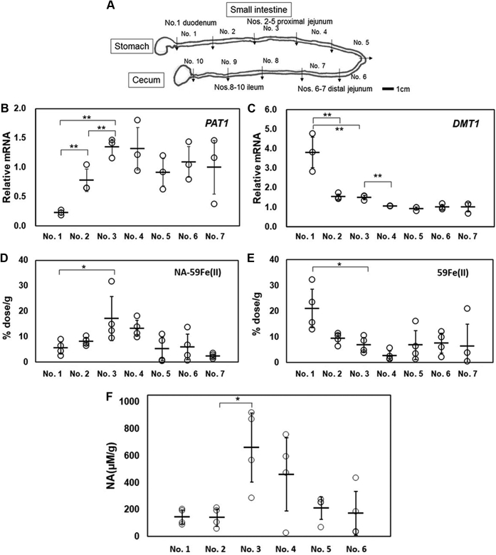 Figure 6