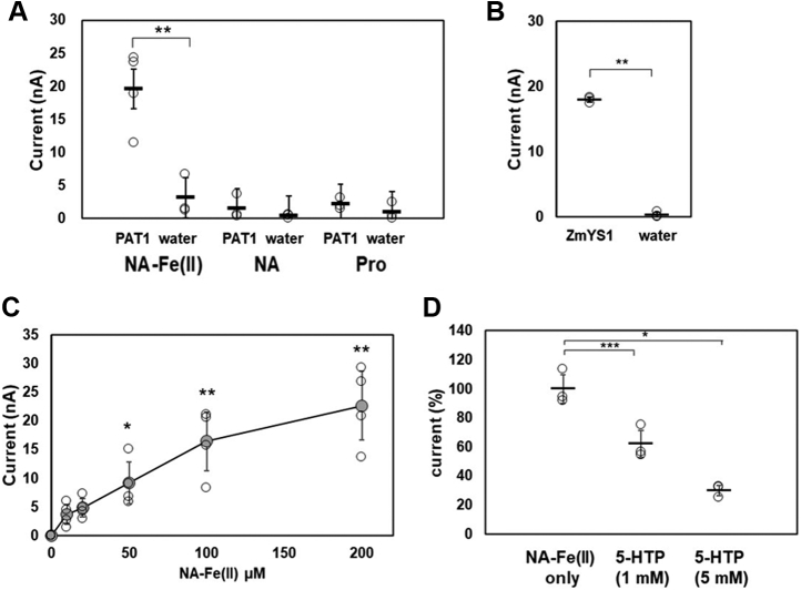 Figure 3