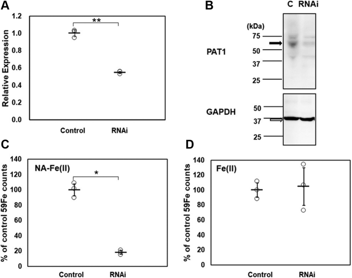 Figure 4