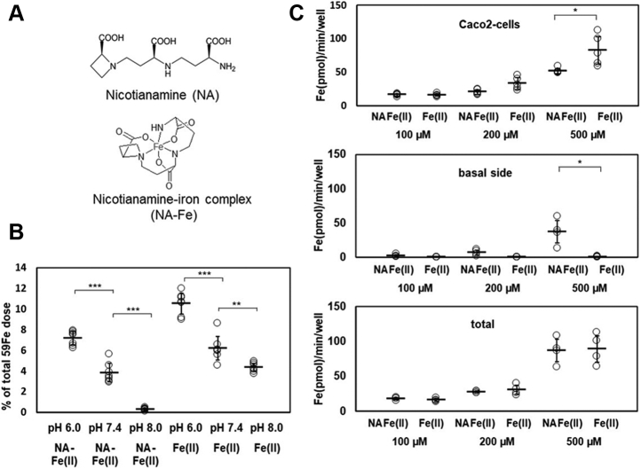 Figure 1