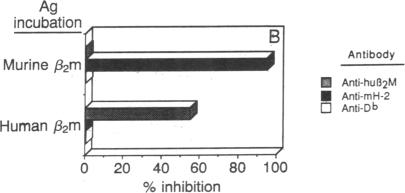 graphic file with name pnas01044-0184-a.jpg