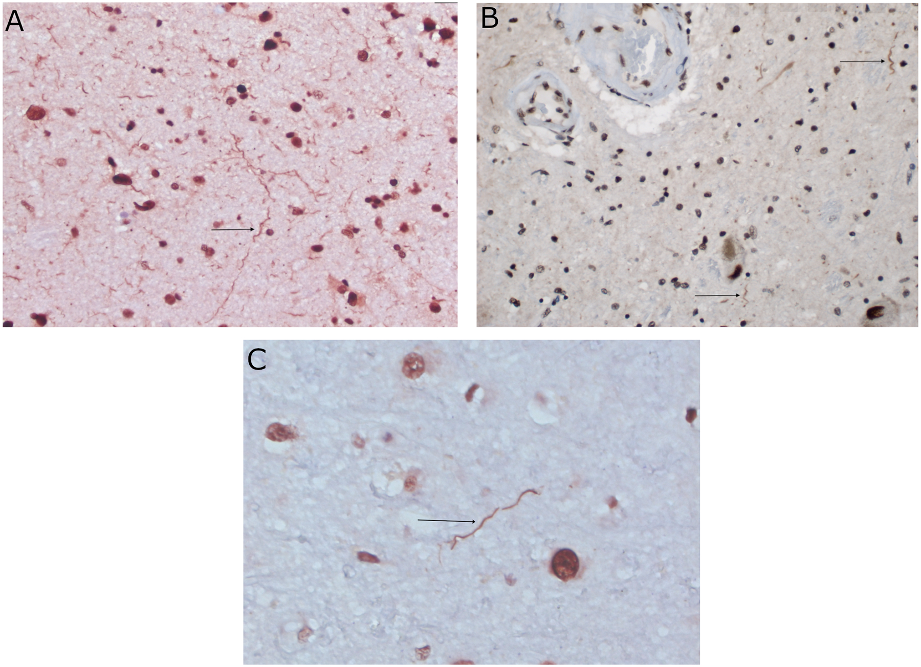 Figure 1 Legend: