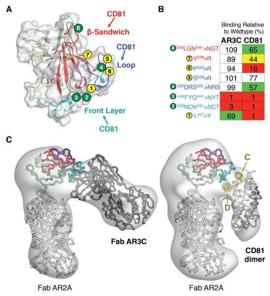 Fig. 3