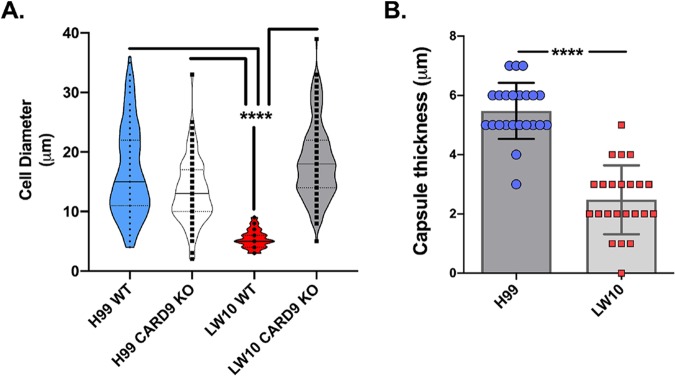 FIG 4