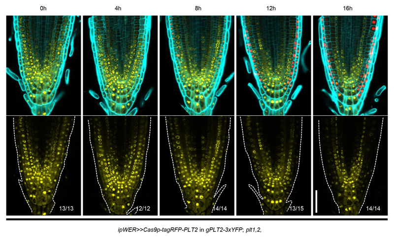 Extended Data Figure 2