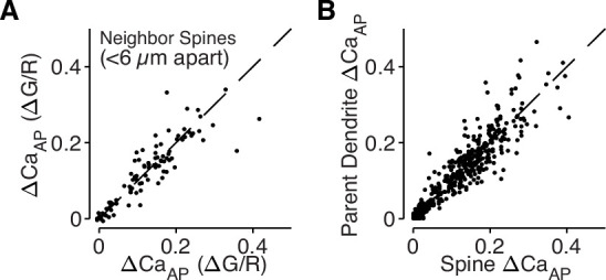 Figure 1—figure supplement 1.