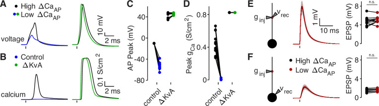 Figure 7—figure supplement 2.