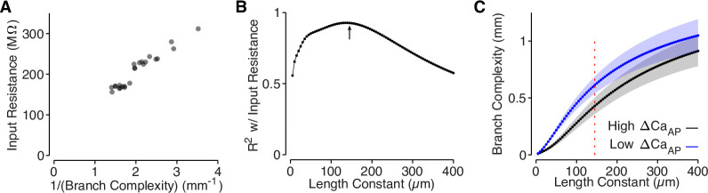 Figure 6—figure supplement 3.