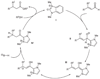 Scheme 2