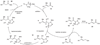 Scheme 4