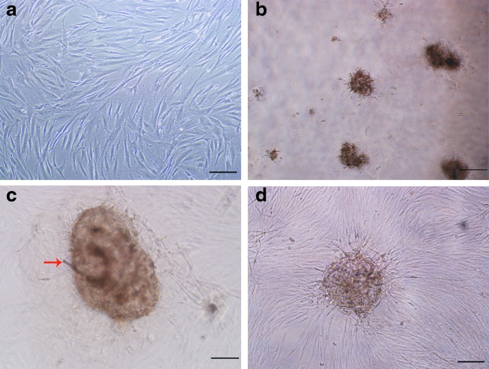 FIG. 7.