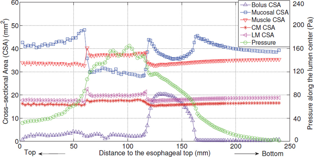 Fig. 10