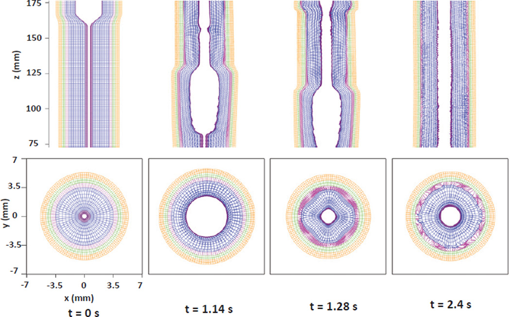 Fig. 9