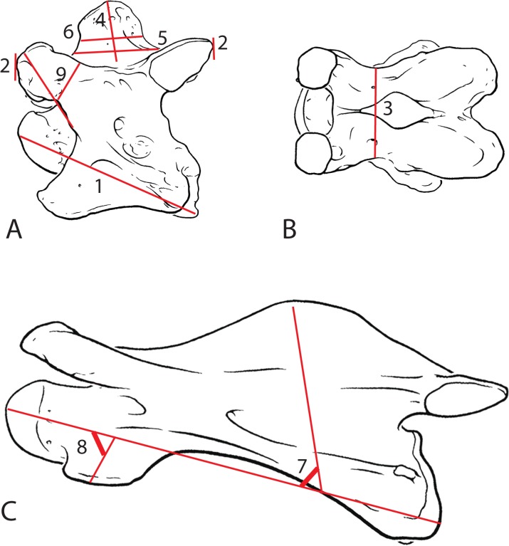 Fig 1