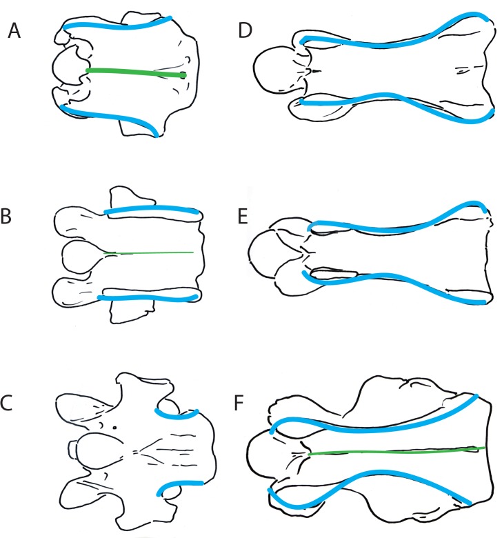 Fig 7