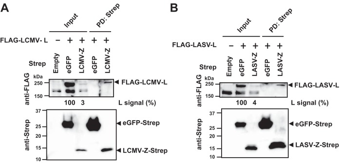 FIG 1