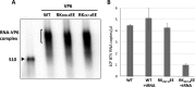 FIG 6