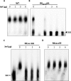 FIG 7