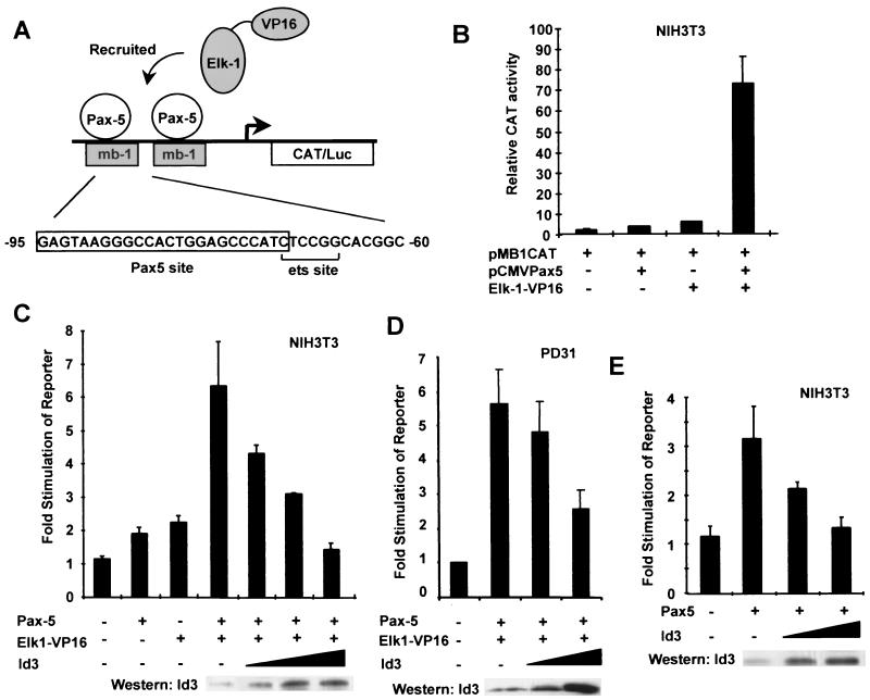 FIG. 7