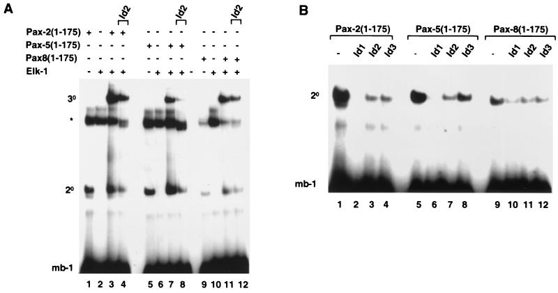 FIG. 3