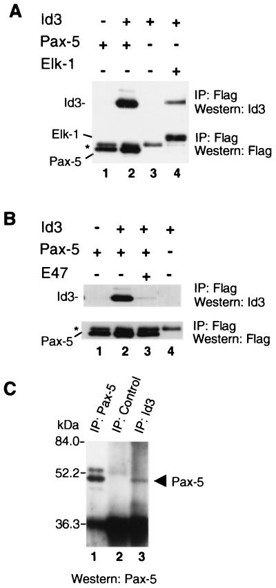 FIG. 6