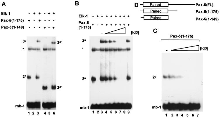 FIG. 1