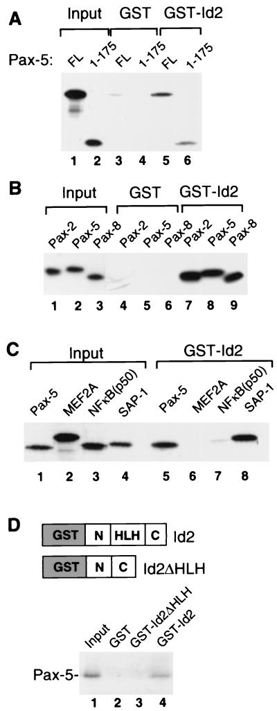 FIG. 5