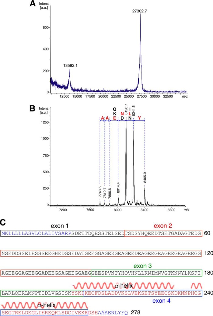 FIGURE 1.