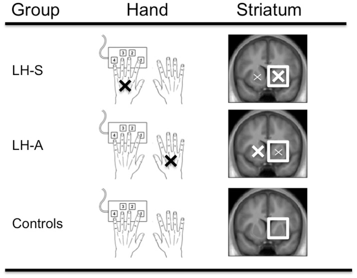 Fig 5