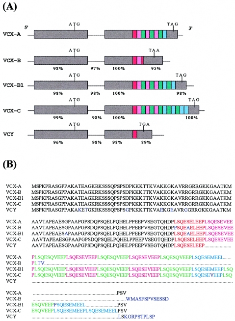 Figure  4