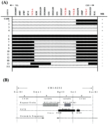 Figure  3