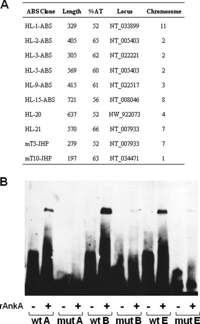 FIG. 6.