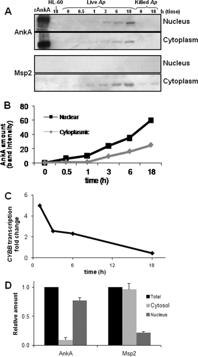 FIG. 1.