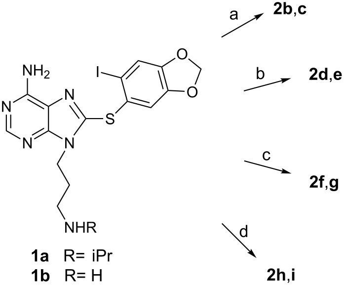 Scheme 1