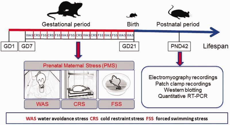 Figure 1.