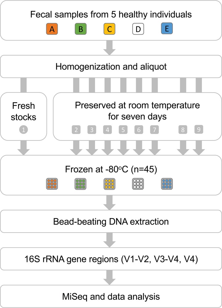 FIG 1