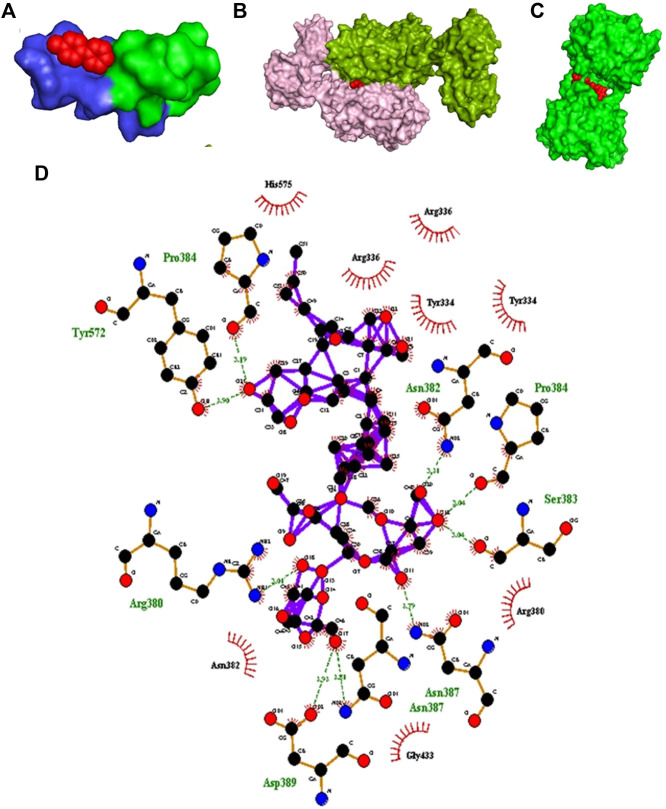 FIGURE 3