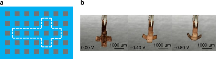 Fig. 10