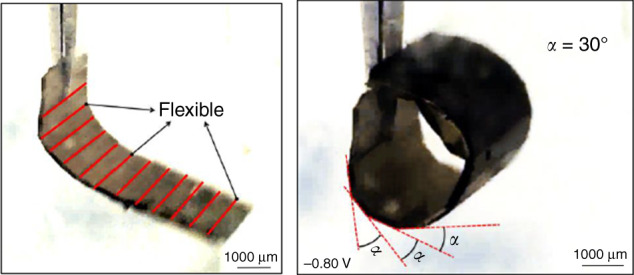 Fig. 9