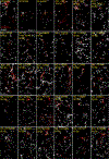 Extended Data Fig. 4