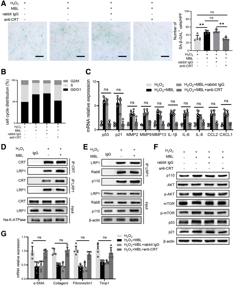 Figure 14