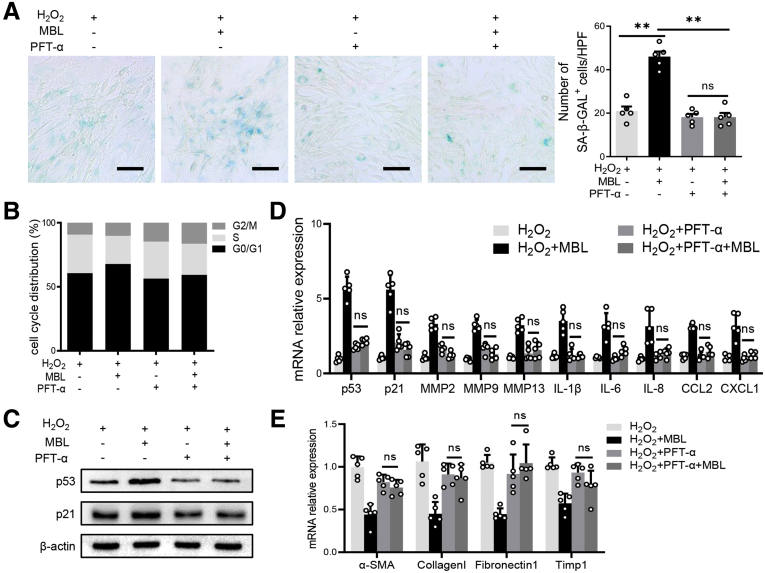 Figure 11